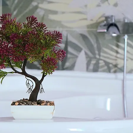 Spago ヴィエステ